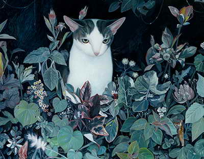 AFCON finalındakı qalmaqala görə Seneqal və Mərakeşə ağır cəzalar verildi